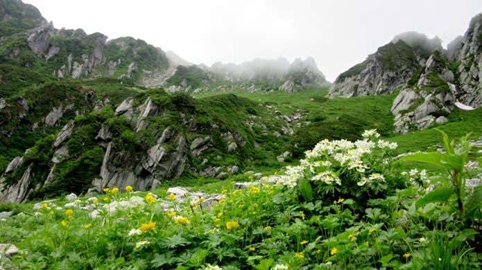 木曽駒ケ岳　お花畑　