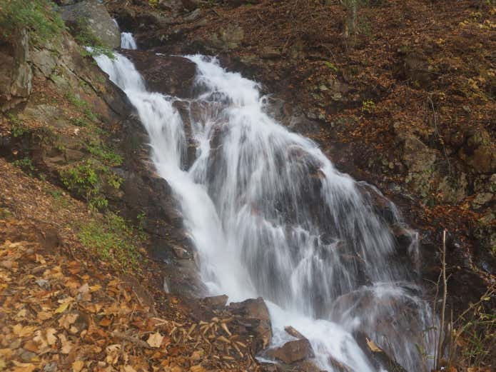 滝子山の沢