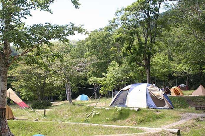 羅臼温泉野営場　テント場
