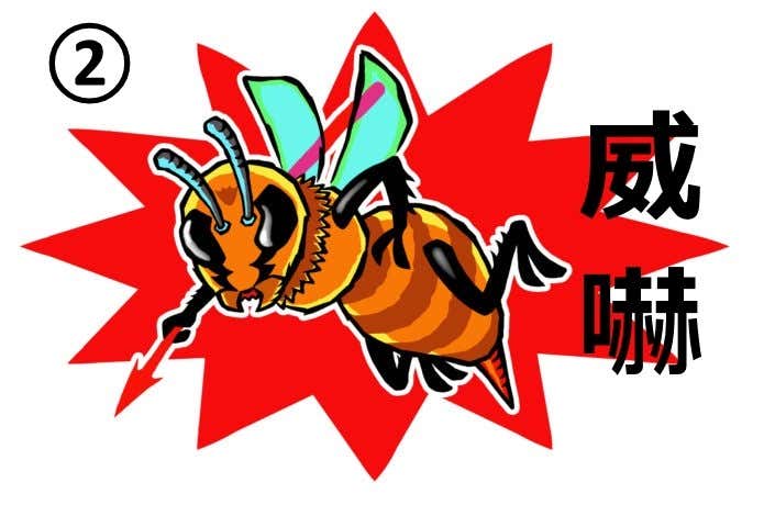 スズメバチの威嚇