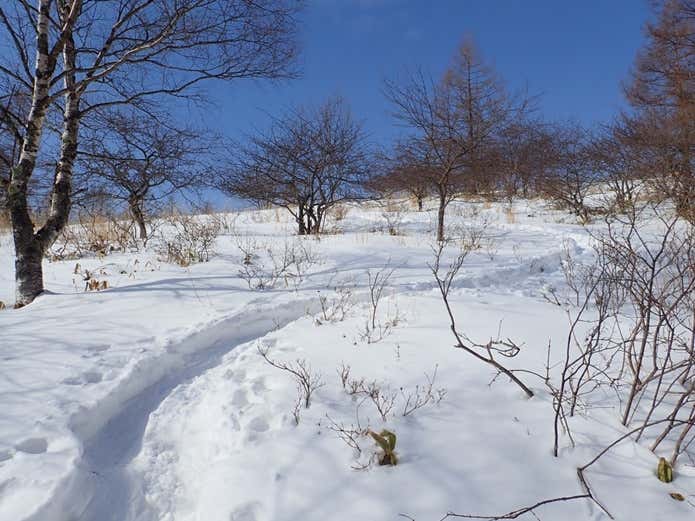 雪山の八子ヶ峰