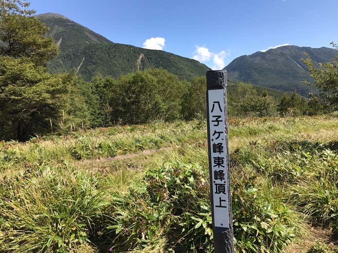 八子ヶ峰東峰頂上
