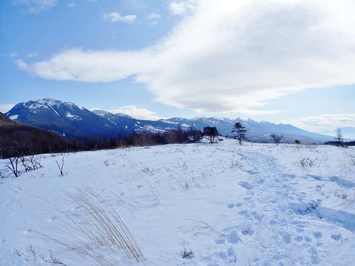 冬の八子ヶ峰から見た八ヶ岳