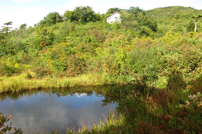 鳥原山避難小屋