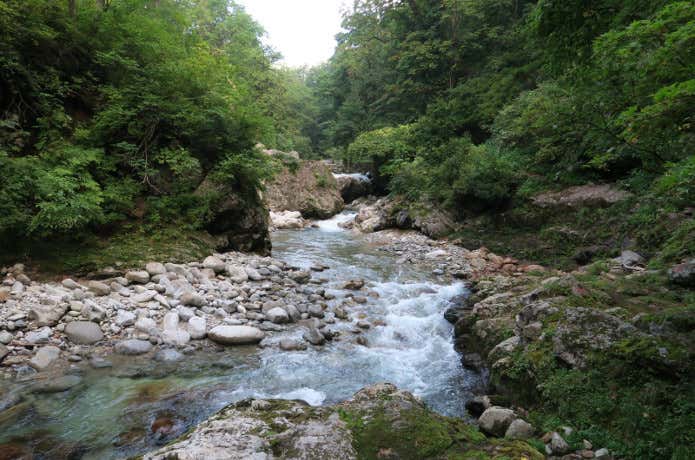 中ツルコース 沢