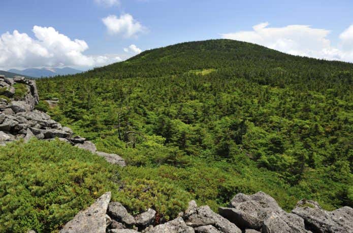 吾妻山