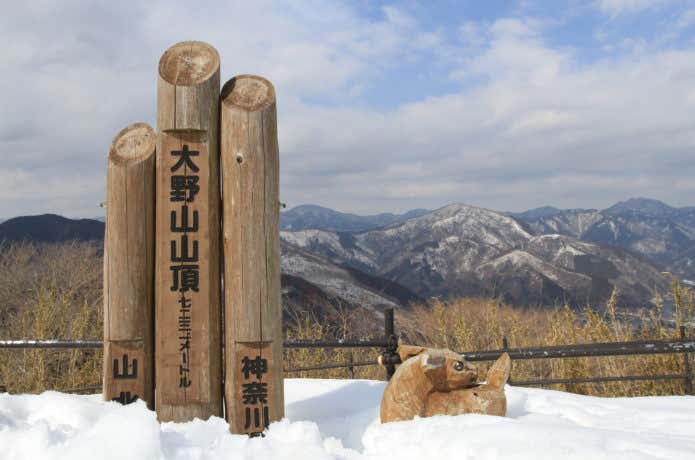 大野山山頂からの眺め
