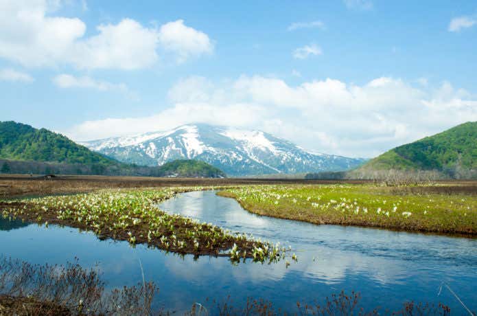 尾瀬・下ノ大堀川
