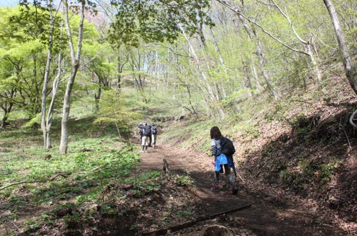 陣馬山を登る登山者