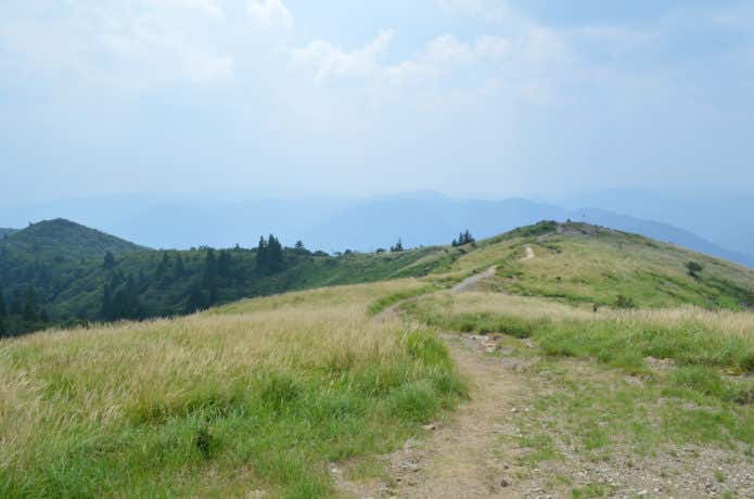 山頂付近からの風景