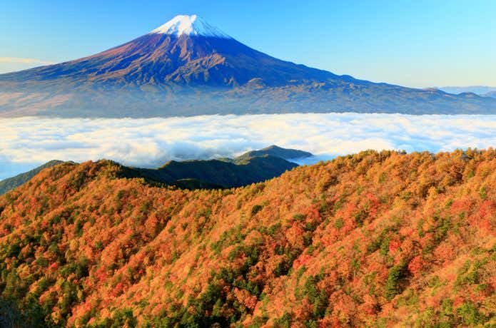 紅葉の三ツ峠から見る雲海と富士山