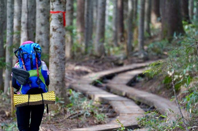 尾瀬の木道を歩く登山者