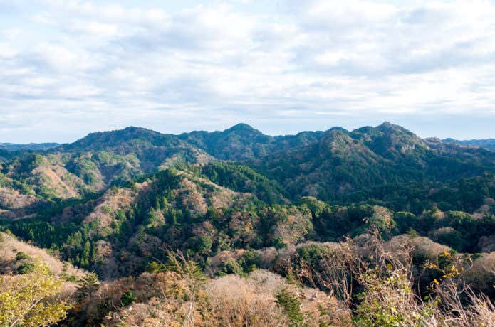 山
