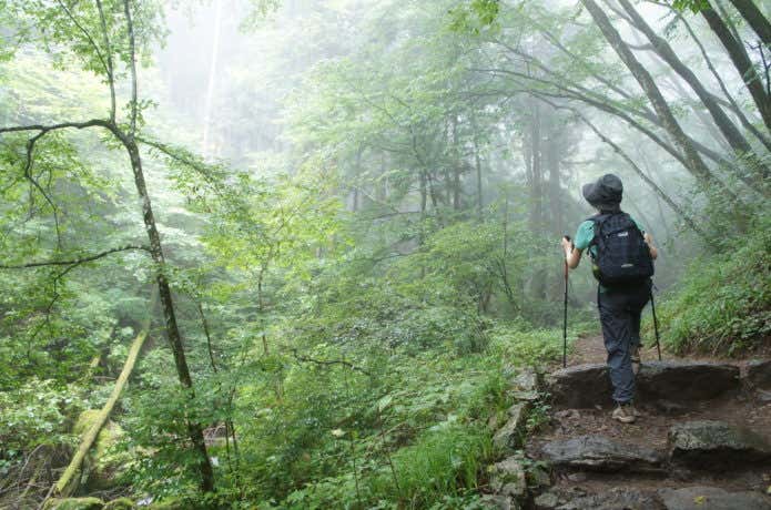 奥多摩ロックガーデンを歩く登山者