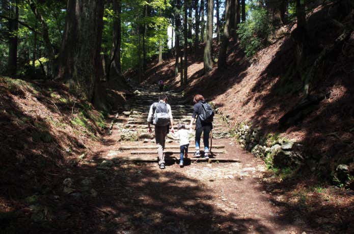 京都の山、愛宕山