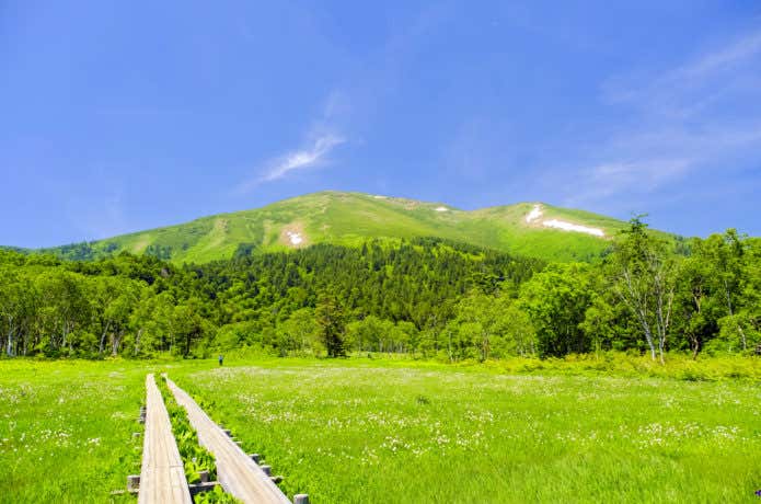 群馬の山、至仏山