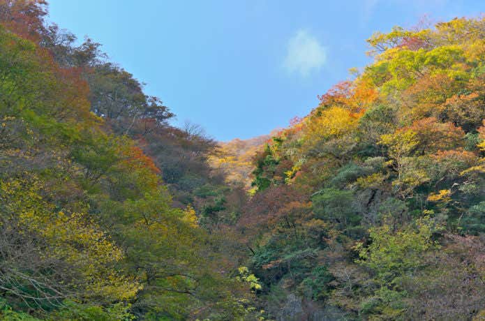 紅葉の比良山系