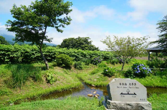 分水嶺