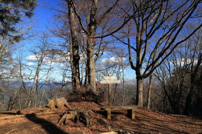 高水山山頂