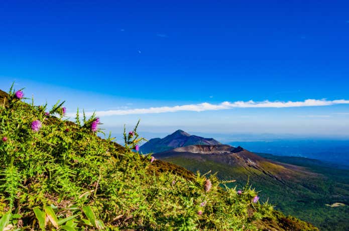 アザミ咲く霧島連山