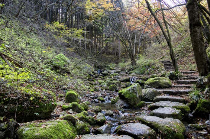 大岳山・ロックガーデン