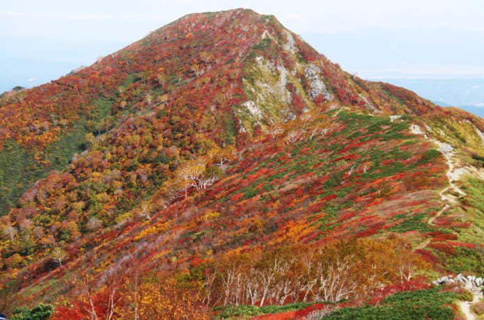 大朝日岳 紅葉