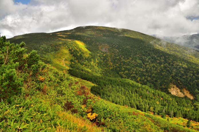 西大巓から西吾妻山