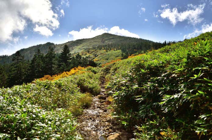 西吾妻山へ続く登山道