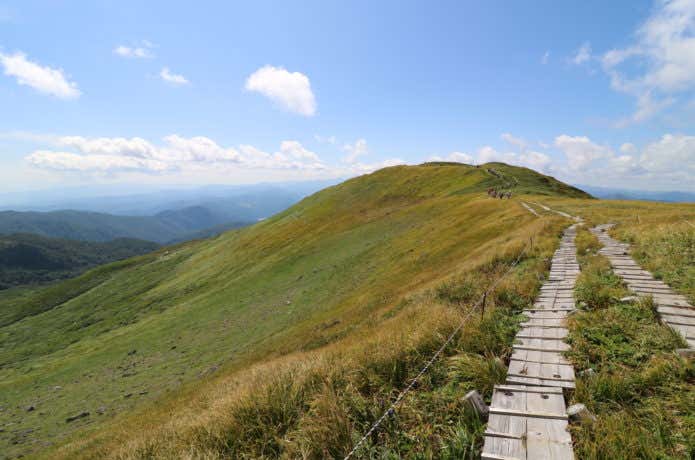 山形の山、夏の月山