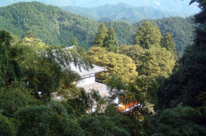 京都の山、鞍馬山