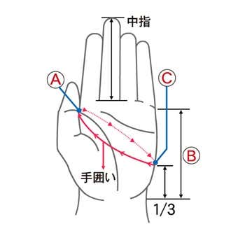 手袋のサイズ測り方