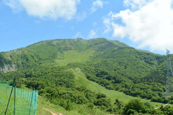 伊吹山　登山道