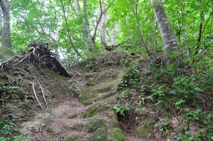 日暮沢小屋までの最後の下り坂