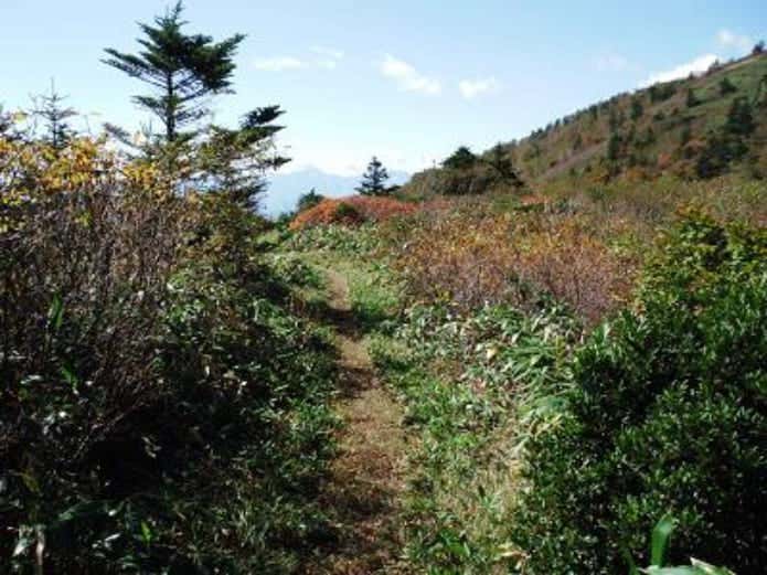 瑪瑙山 飯縄山の登山道の画像