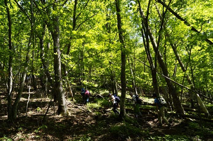 経塚山までの登山道