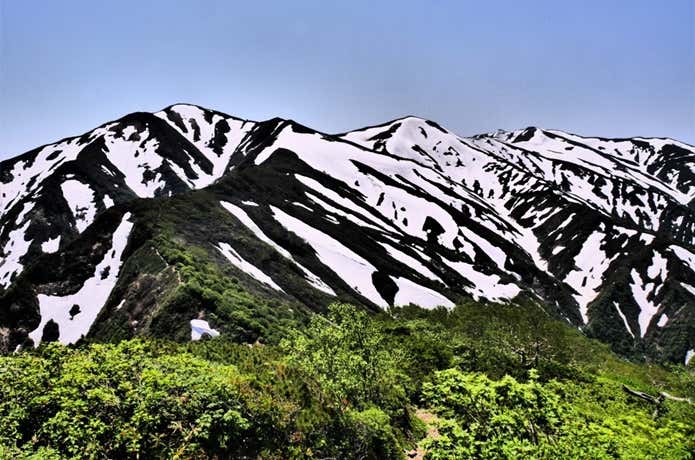 大朝日岳のゼブラ模様