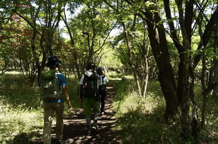 山頂から艫岩の間の登山道