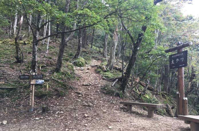 三峰神社から　雲取山　登山