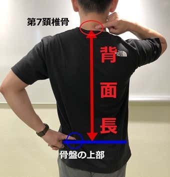 背面長
