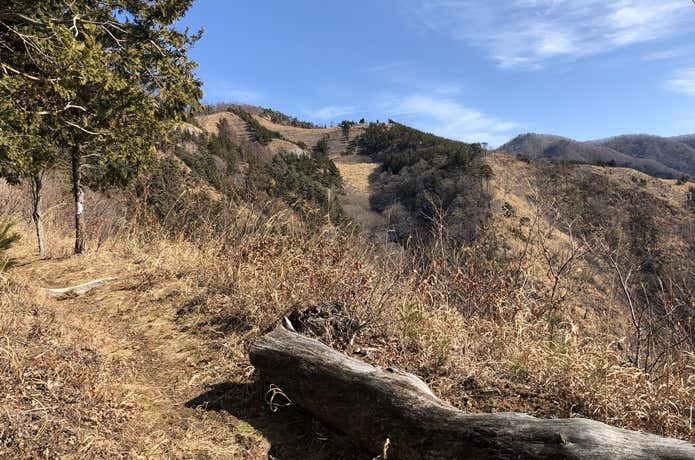 山