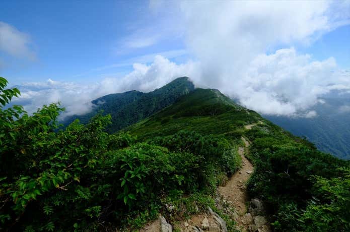 小朝日岳