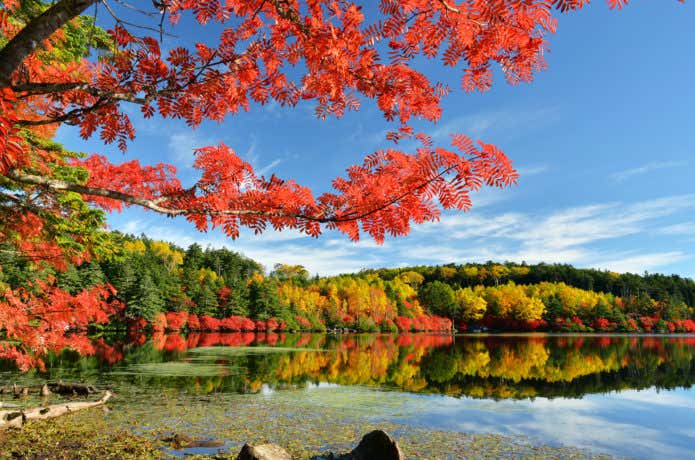 紅葉の白駒池