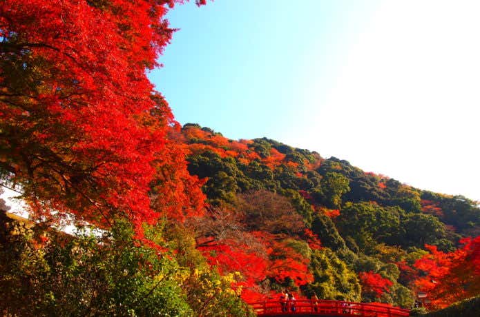 大阪近郊の山