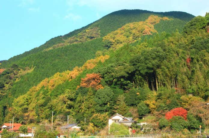 英彦山