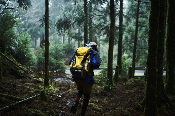 雨の登山