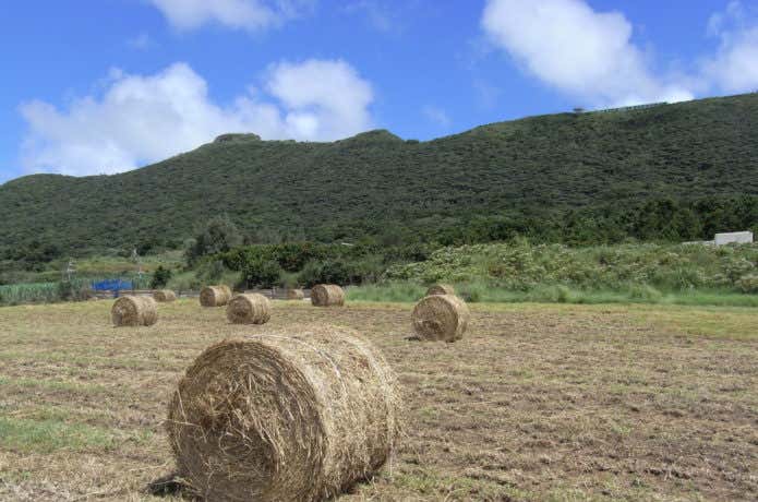 宇江城岳
