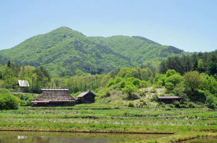深入山