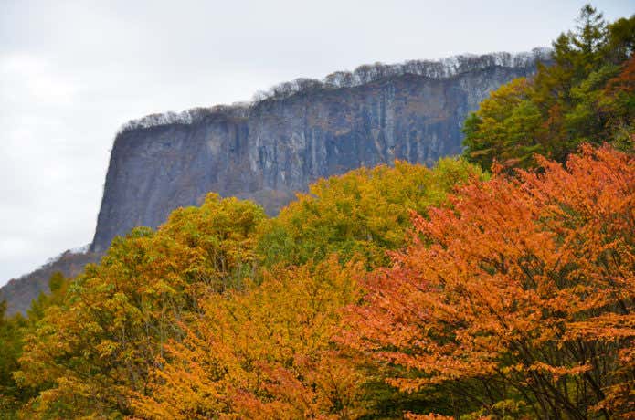 荒船山 紅葉