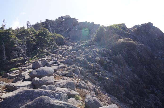 にゅう山頂