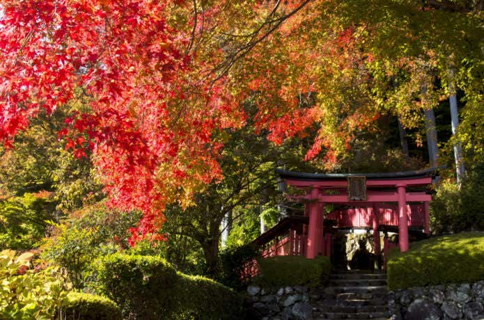 大阪　登山　善峯寺